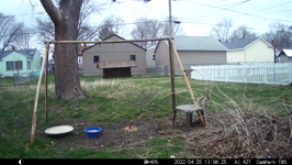 &nbsp;&nbsp;2022.04.25 13.08.16 dalton again.MOV (214 MB)&nbsp;&nbsp;