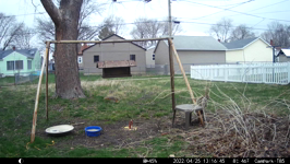 &nbsp;&nbsp;2022.04.25 13.16.36 dalton chat.MOV (214 MB)&nbsp;&nbsp;