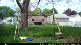 &nbsp;&nbsp;2022.05.15 15.37.14 tractor drive-by.MOV (214 MB)&nbsp;&nbsp;