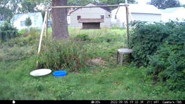 &nbsp;&nbsp;2022.09.05 19.32.30 pickup sticks.MOV (214 MB)&nbsp;&nbsp;