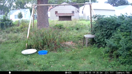 &nbsp;&nbsp;2022.09.05 19.35.44 pickup sticks.MOV (214 MB)&nbsp;&nbsp;