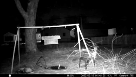 &nbsp;&nbsp;2022.02.15 01.45.16 possum.MOV (215 MB)&nbsp;&nbsp;