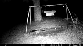 &nbsp;&nbsp;2022.03.25 01.10.06 possum cameo.MOV (215 MB)&nbsp;&nbsp;