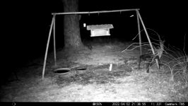 &nbsp;&nbsp;2022.04.02 21.38.46 possum.MOV (214 MB)&nbsp;&nbsp;