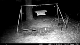 &nbsp;&nbsp;2022.04.07 04.38.48 possum.MOV (215 MB)&nbsp;&nbsp;