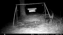 &nbsp;&nbsp;2022.04.09 03.52.42 possum closer.MOV (215 MB)&nbsp;&nbsp;