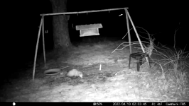 &nbsp;&nbsp;2022.04.10 02.03.36 possum.MOV (215 MB)&nbsp;&nbsp;