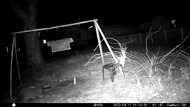 &nbsp;&nbsp;2022.04.17 01.16.40 coon and possum.MOV (215 MB)&nbsp;&nbsp;