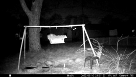 &nbsp;&nbsp;2022.05.10 23.07.18 possum and coon.MOV (215 MB)&nbsp;&nbsp;