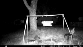 &nbsp;&nbsp;2022.05.15 02.54.44 possum and coon.MOV (215 MB)&nbsp;&nbsp;