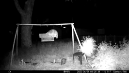 &nbsp;&nbsp;2022.06.01 03.25.28 possum and coon.MOV (215 MB)&nbsp;&nbsp;