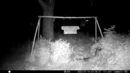 &nbsp;&nbsp;2022.07.14 03.18.18 possum water.MOV (215 MB)&nbsp;&nbsp;