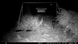 &nbsp;&nbsp;2022.08.30 21.57.46 long distance possum.MOV (214 MB)&nbsp;&nbsp;