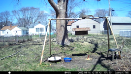 &nbsp;&nbsp;2022.04.16 12.58.32 sparrow fly-by.MOV (214 MB)&nbsp;&nbsp;