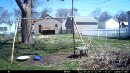 &nbsp;&nbsp;2022.04.26 10.50.40 diving sparrow.MOV (214 MB)&nbsp;&nbsp;