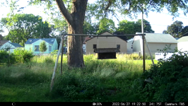 &nbsp;&nbsp;2022.06.27 19.22.40 sparrow requesting a fly-by.MOV (214 MB)&nbsp;&nbsp;