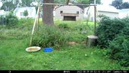 &nbsp;&nbsp;2022.08.29 09.53.00 many sparrows.MOV (214 MB)&nbsp;&nbsp;