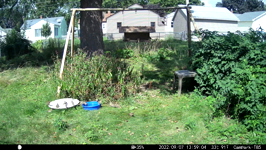 &nbsp;&nbsp;2022.09.07 13.58.54 thirsty sparrows.MOV (214 MB)&nbsp;&nbsp;