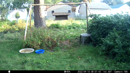 &nbsp;&nbsp;2022.09.15 08.07.34 megasparrows.MOV (214 MB)&nbsp;&nbsp;