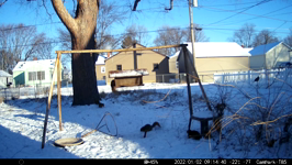 &nbsp;&nbsp;2022.01.02 09.14.30 multisquirrel.MOV (214 MB)&nbsp;&nbsp;