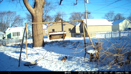 &nbsp;&nbsp;2022.01.02 09.27.16 squirrel argument.MOV (214 MB)&nbsp;&nbsp;