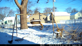 &nbsp;&nbsp;2022.01.02 09.34.56 multisquirrel.MOV (214 MB)&nbsp;&nbsp;