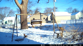 &nbsp;&nbsp;2022.01.02 09.42.24 squirrels and crows.MOV (214 MB)&nbsp;&nbsp;