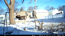 &nbsp;&nbsp;2022.01.07 10.07.00 squirrel argument.MOV (214 MB)&nbsp;&nbsp;