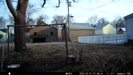 &nbsp;&nbsp;2022.02.21 07.48.32 squirrel flight.MOV (214 MB)&nbsp;&nbsp;