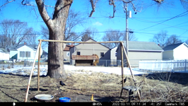 &nbsp;&nbsp;2022.03.11 08.11.24 squirrel eject.MOV (214 MB)&nbsp;&nbsp;