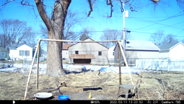 &nbsp;&nbsp;2022.03.11 12.23.42 another squirrel argument.MOV (214 MB)&nbsp;&nbsp;