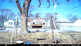 &nbsp;&nbsp;2022.03.11 12.27.10 jumping squirrel.MOV (214 MB)&nbsp;&nbsp;