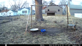 &nbsp;&nbsp;2022.03.20 18.53.24 barking squirrel tag.MOV (214 MB)&nbsp;&nbsp;