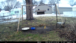 &nbsp;&nbsp;2022.04.02 12.35.34 animated squirrel.MOV (214 MB)&nbsp;&nbsp;