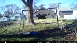 &nbsp;&nbsp;2022.04.16 17.41.54 squirrel climbing camera.MOV (214 MB)&nbsp;&nbsp;