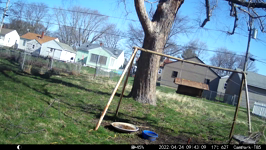 &nbsp;&nbsp;2022.04.24 09.43.00 squirrel climbing on camera.MOV (214 MB)&nbsp;&nbsp;