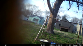 &nbsp;&nbsp;2022.04.24 18.13.08 squirrel messing with camera again.MOV (214 MB)&nbsp;&nbsp;