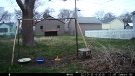 &nbsp;&nbsp;2022.04.25 10.30.40 squirrel grabs roll.MOV (214 MB)&nbsp;&nbsp;