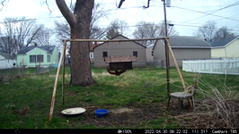 &nbsp;&nbsp;2022.04.30 08.21.52 chipmonk and squeaky squirrels.MOV (214 MB)&nbsp;&nbsp;