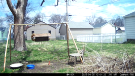 &nbsp;&nbsp;2022.04.30 12.01.12 flying squirrel.MOV (214 MB)&nbsp;&nbsp;