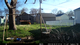 &nbsp;&nbsp;2022.05.04 07.56.54 squeaky squirrel doesn't like rabbit.MOV (214 MB)&nbsp;&nbsp;