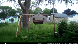 &nbsp;&nbsp;2022.06.11 06.58.12 jumping squirrel.MOV (214 MB)&nbsp;&nbsp;