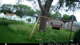 &nbsp;&nbsp;2022.06.12 08.56.48 feisty squirrel chase.MOV (214 MB)&nbsp;&nbsp;