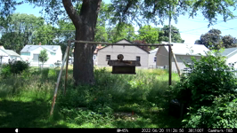 &nbsp;&nbsp;2022.06.20 11.26.40 flat squirrel.MOV (214 MB)&nbsp;&nbsp;