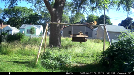 &nbsp;&nbsp;2022.06.22 08.23.12 waiting his turn.MOV (214 MB)&nbsp;&nbsp;