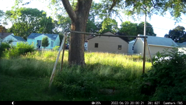 &nbsp;&nbsp;2022.06.23 20.00.12 squirrel climbing the camera.MOV (214 MB)&nbsp;&nbsp;