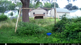 &nbsp;&nbsp;2022.07.16 07.16.46 squirrel tag.MOV (214 MB)&nbsp;&nbsp;