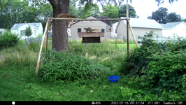 &nbsp;&nbsp;2022.07.16 09.21.44 squirrel high ground.MOV (214 MB)&nbsp;&nbsp;