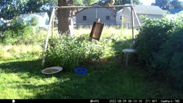 &nbsp;&nbsp;2022.08.09 08.10.08 squirrel iun feeder again.MOV (214 MB)&nbsp;&nbsp;