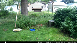 &nbsp;&nbsp;2022.08.13 11.35.02 squirrel tag.MOV (214 MB)&nbsp;&nbsp;